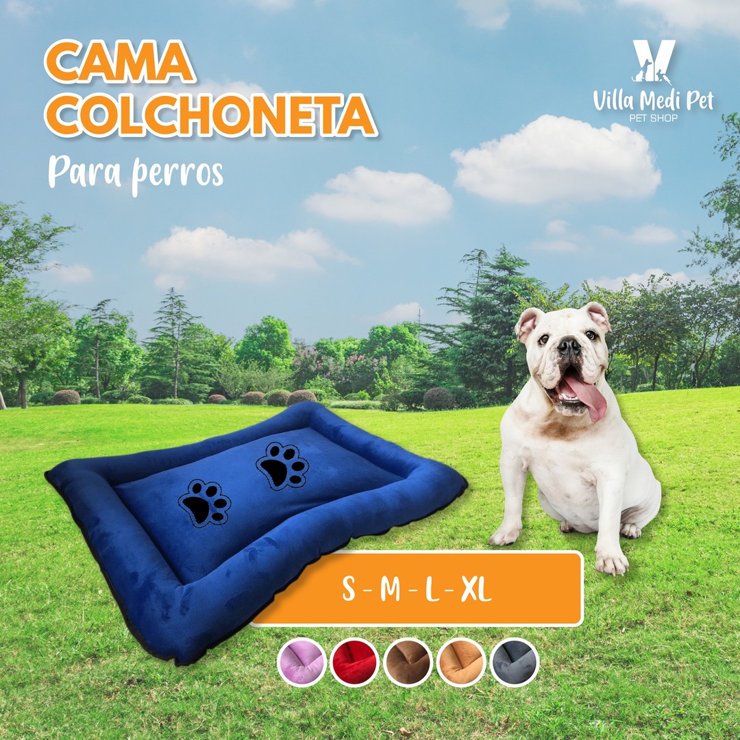Canbo Perro Cachorro Raza Mediana y Grande
