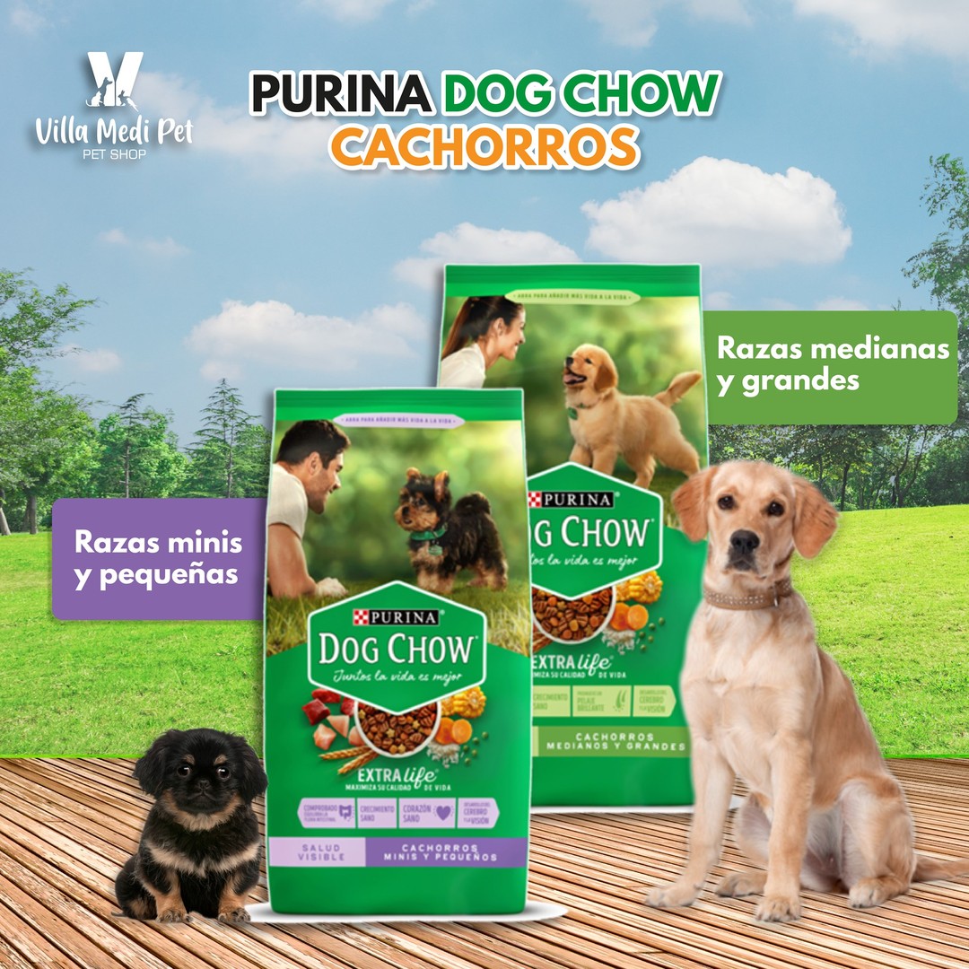 Purina Pro Plan Adulto Active Mind Mini & Small