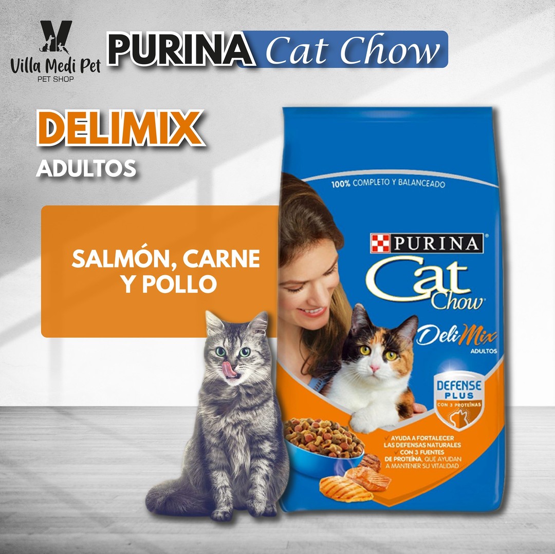 Purina Pro Plan Gato Urinary