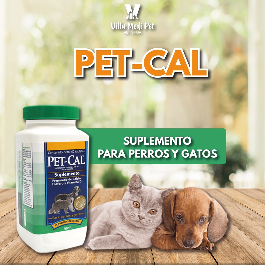 RicoCan Adulto Carne y Leche